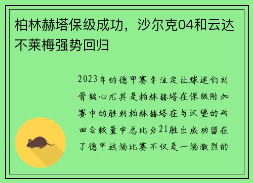 柏林赫塔保级成功，沙尔克04和云达不莱梅强势回归